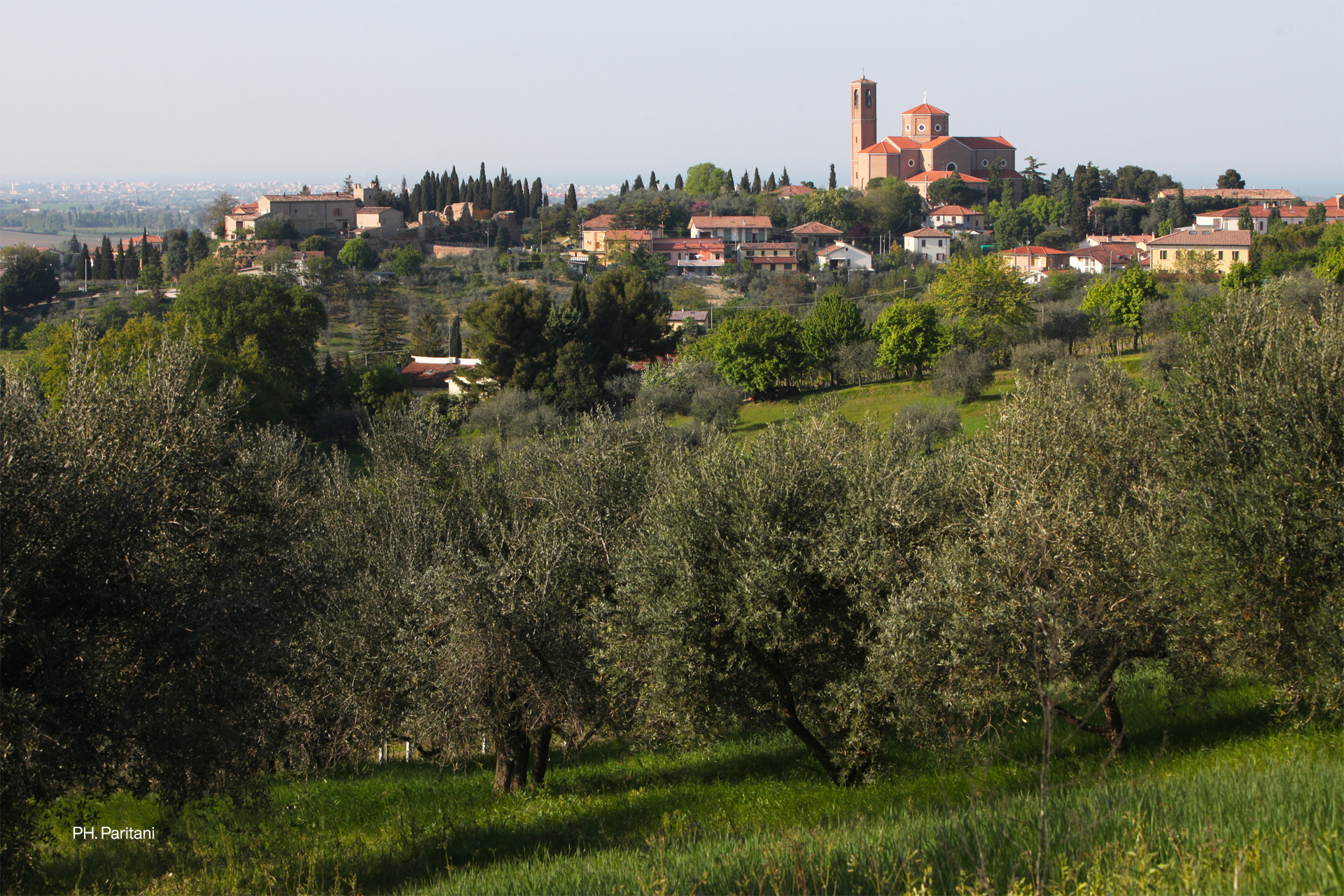 Comune di Coriano